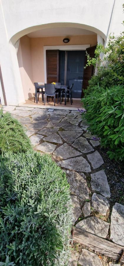 A Casa Di Daniele Διαμέρισμα Porto Potenza Picena Εξωτερικό φωτογραφία